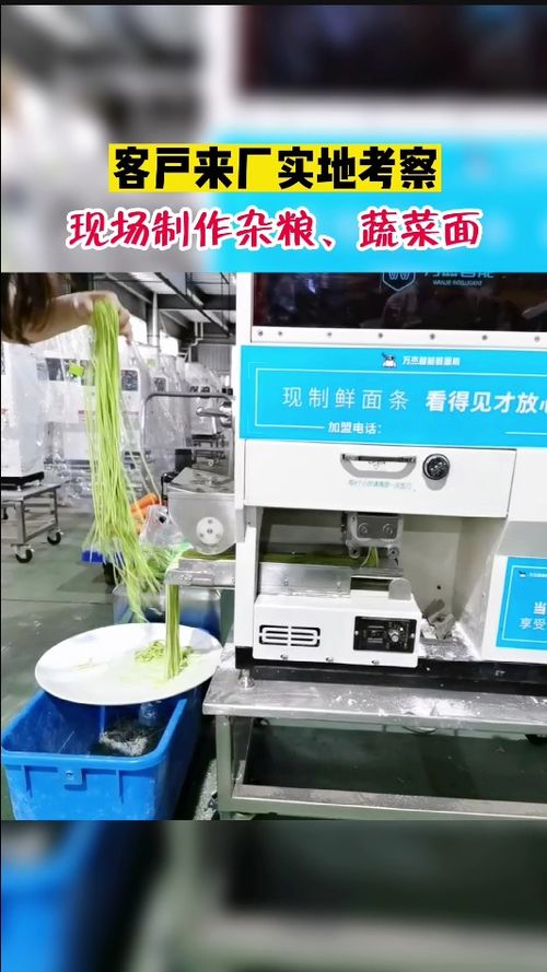 客戶來廠考察,現(xiàn)場試機菠菜面,替代人工做面,8秒做成鮮面條